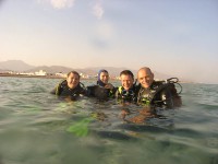 Nurkowanie w Dahab Islands, Ela Benducka
